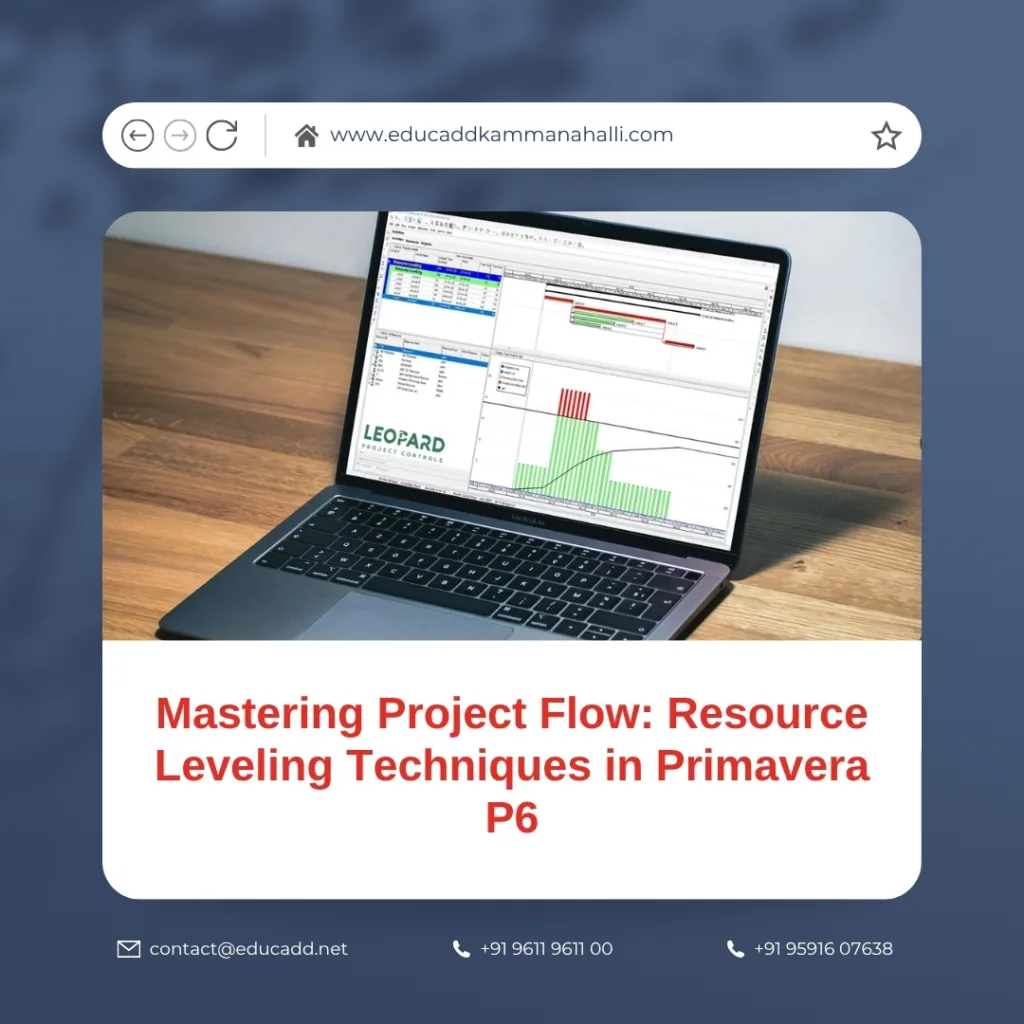 Primavera P6 Resource Leveling