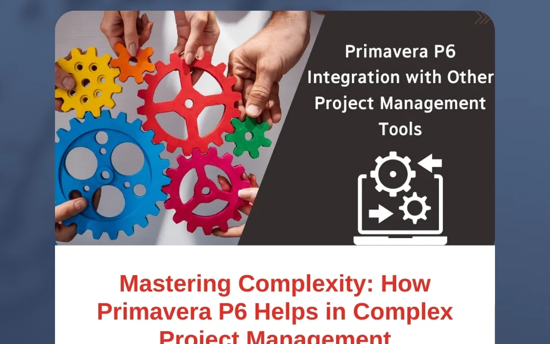 Mastering Complexity: How Primavera P6 Helps in Complex Project Management