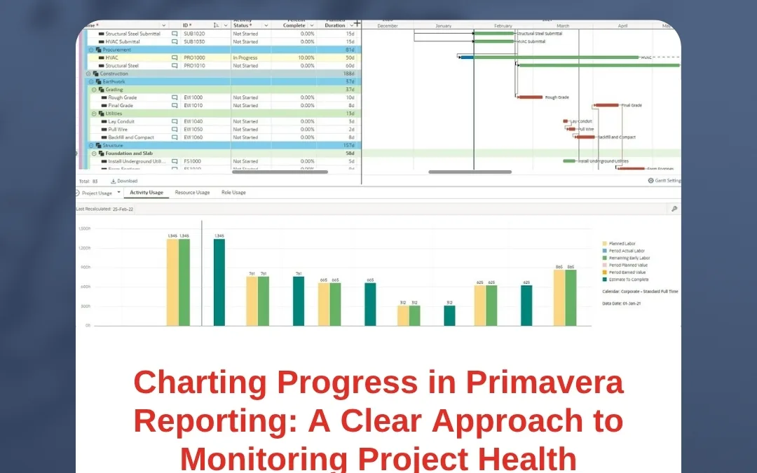 Charting Progress in Primavera Reporting: A Clear Approach to Monitoring Project Health