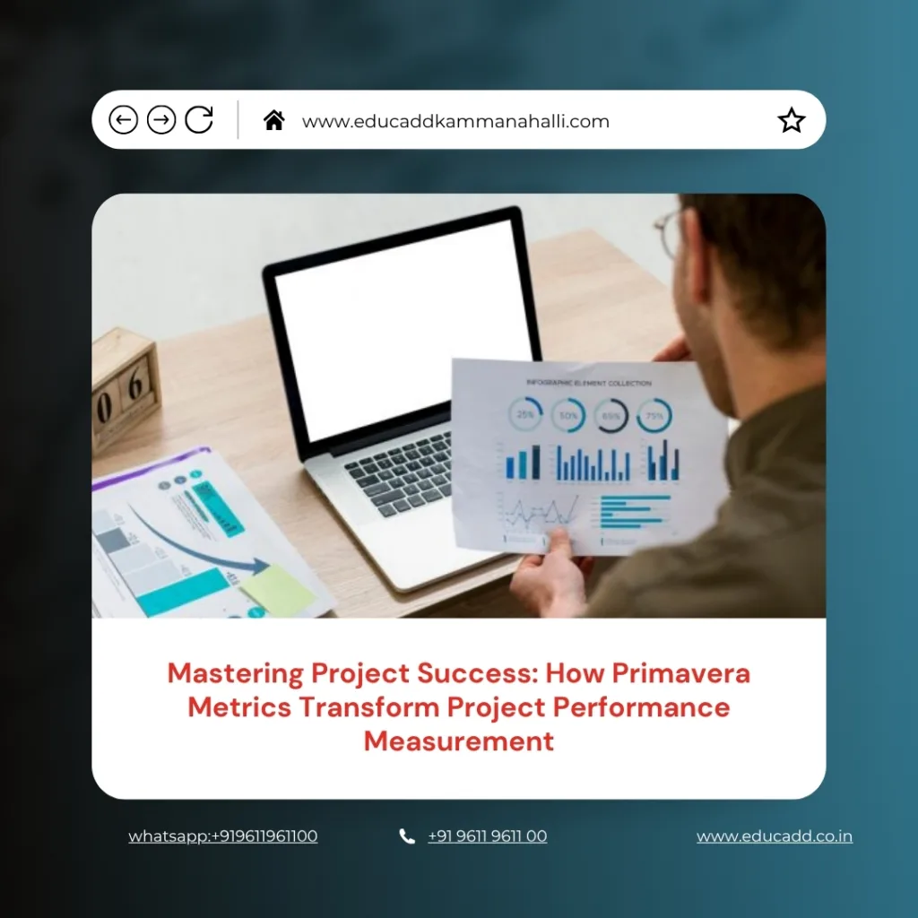Primavera Project Performance Metrics